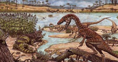Mesozoikum Dinosaurier